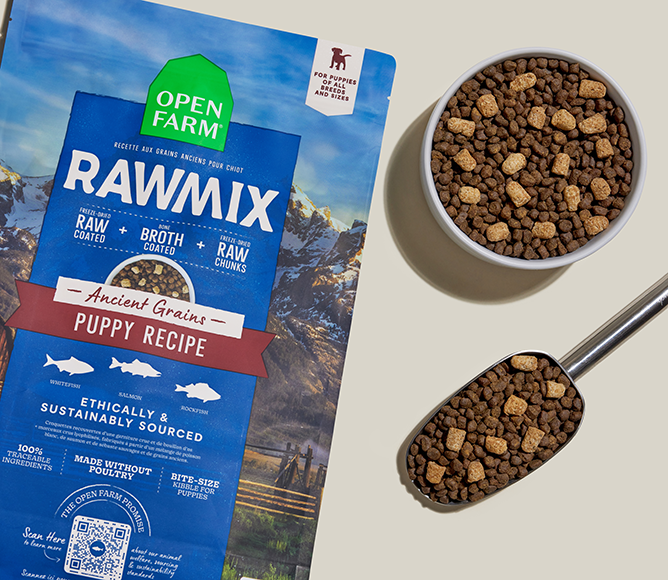 Fish & Ancient-Grain Puppy RawMix Kibble – DHA Freeze-Dried Poultry-Free