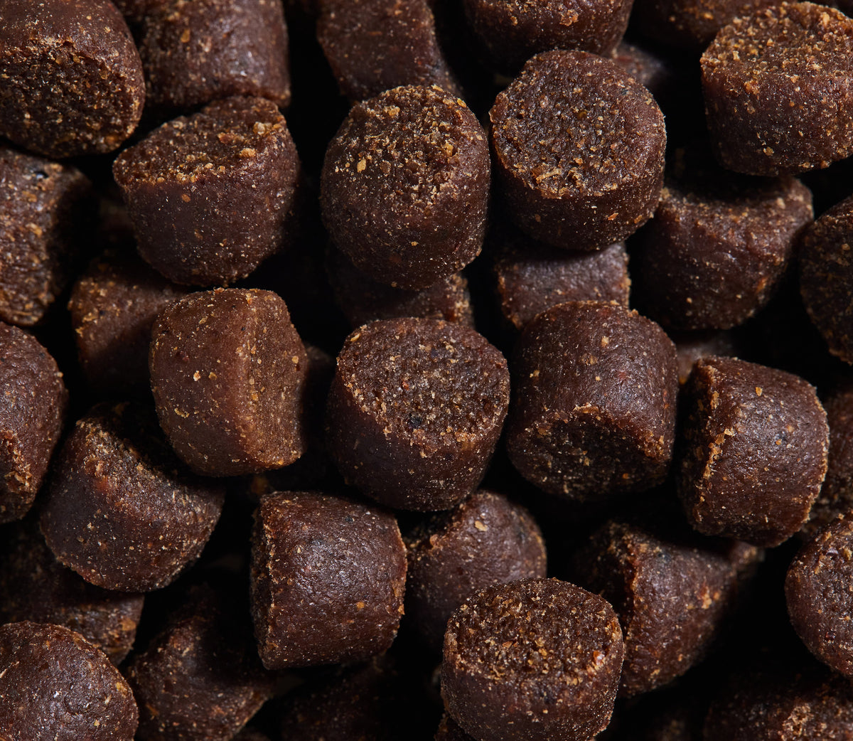 Protein-Infused Soft Dog Treats – Insect-Based Bites with Pumpkin & Blueberry