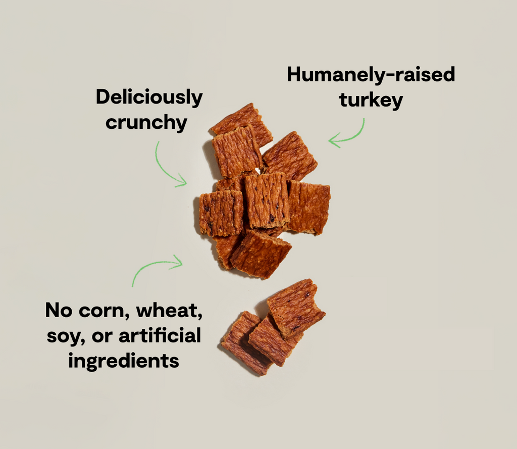 High-Protein Dehydrated Turkey Dog Treats - Low-Temp, Grain-Free Chewy Bites