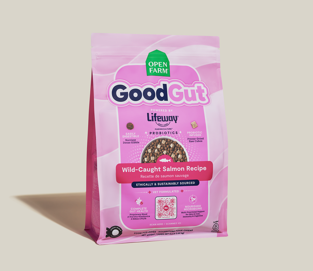 Probiotic Salmon Dry Dog Food with Freeze-Dried Raw Cubes – Gut Health