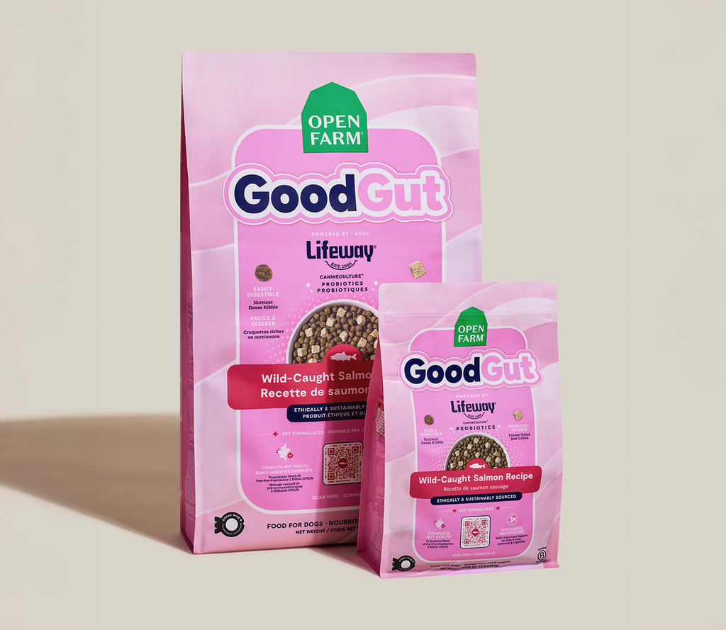 Probiotic Salmon Dry Dog Food with Freeze-Dried Raw Cubes – Gut Health
