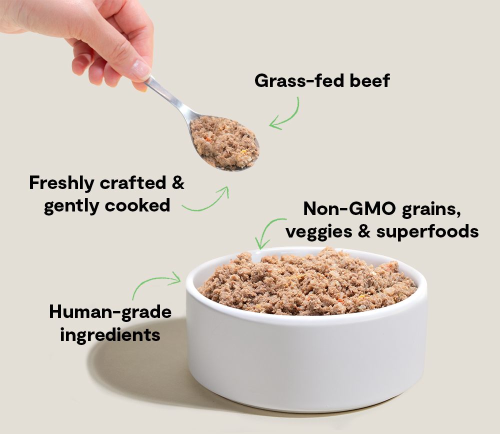 Grass-Fed Beef Gently Cooked Frozen Dog Food - Human-Grade Fresh Recipe