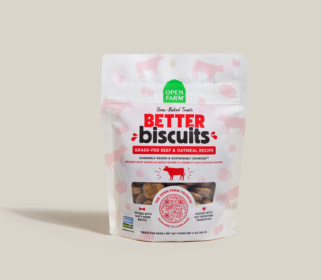 Oven-Baked Beef & Oatmeal Crunchy Dog Biscuits – Probiotic Reward Treats