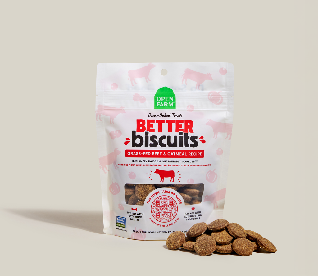 Oven-Baked Beef & Oatmeal Crunchy Dog Biscuits – Probiotic Reward Treats
