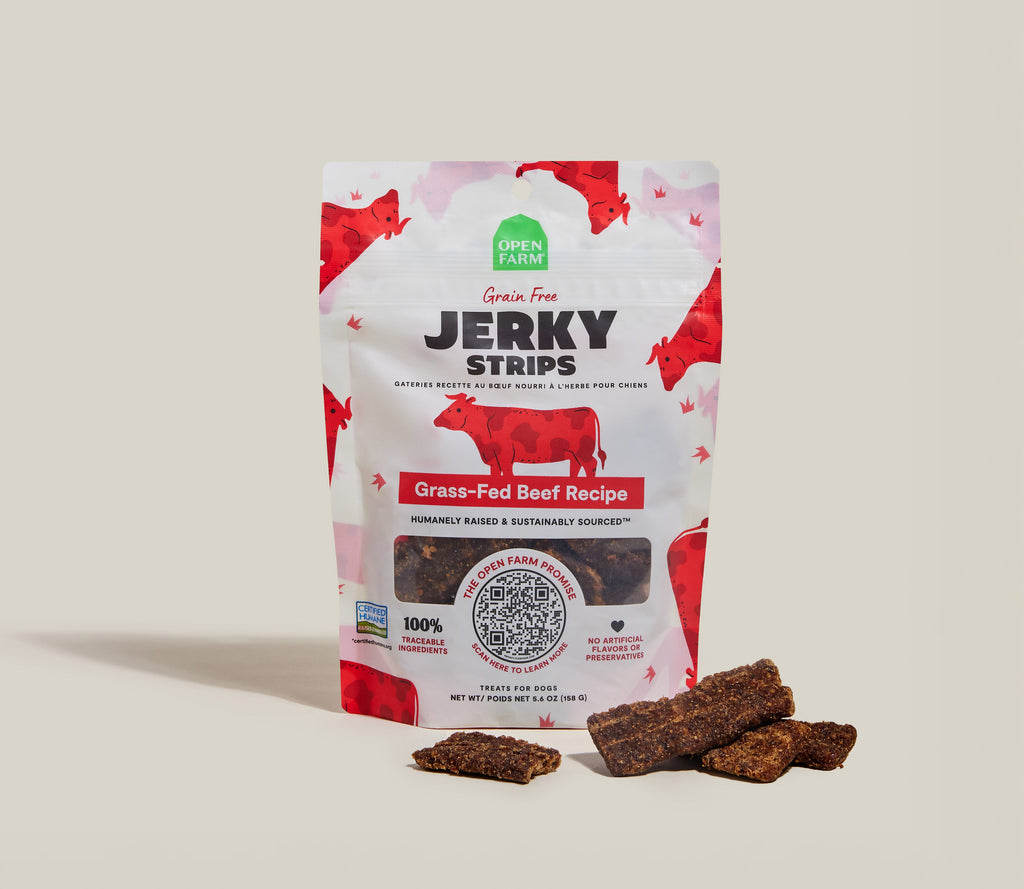 Certified Humane Grass-Fed Beef Jerky Chews – Soft Grain-Free Dog Treat Strips