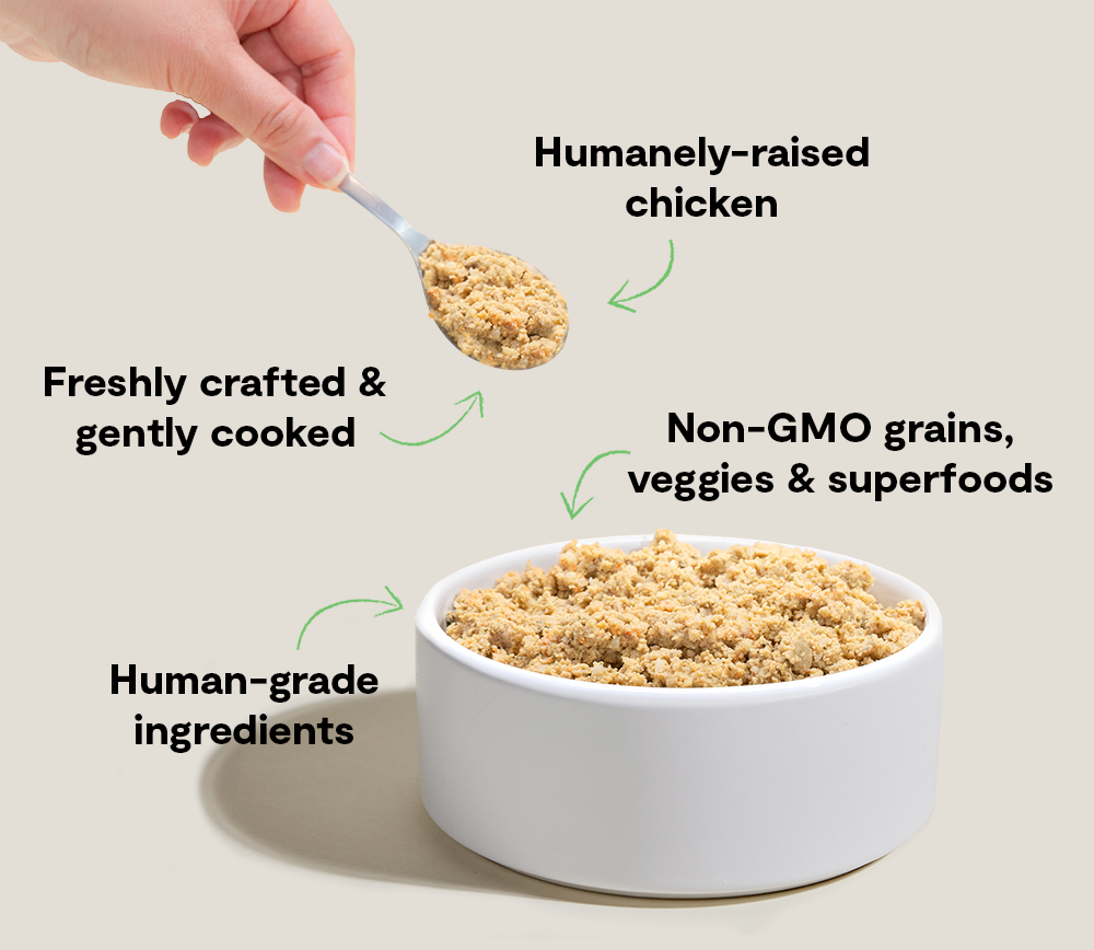 Harvest Chicken Gently Cooked Frozen Dog Food – Human-Grade 16 Pouches