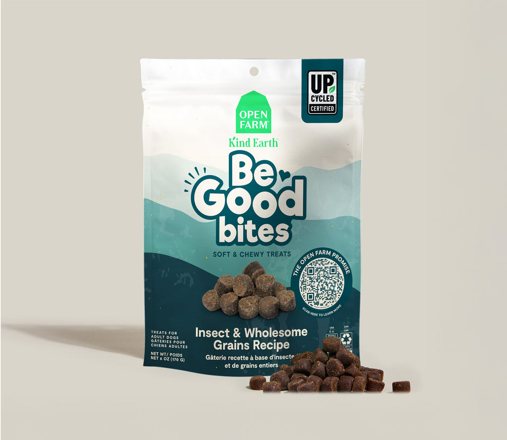 Protein-Infused Soft Dog Treats – Insect-Based Bites with Pumpkin & Blueberry