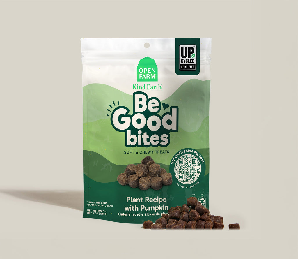 Soft Plant-Based Pumpkin & Blueberry Puppy Treats – Upcycled Bites