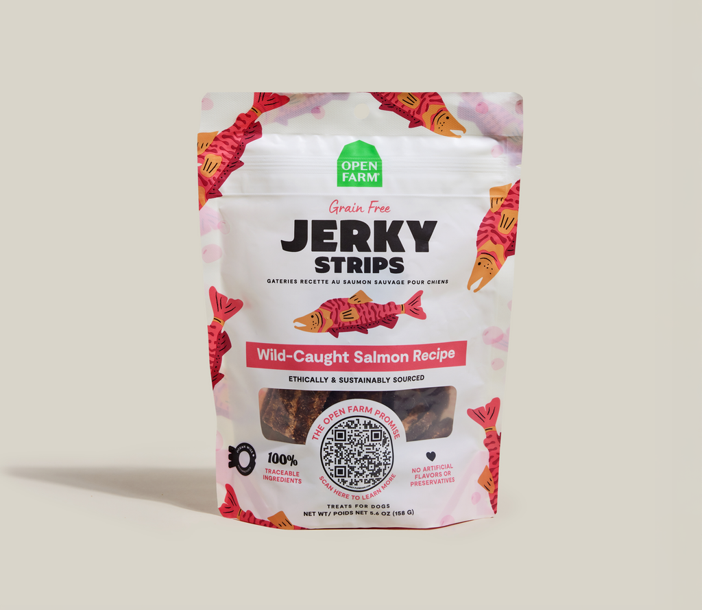 Ocean Wise Salmon Jerky Strips for Dogs – Grain-Free Wild-Caught Chews