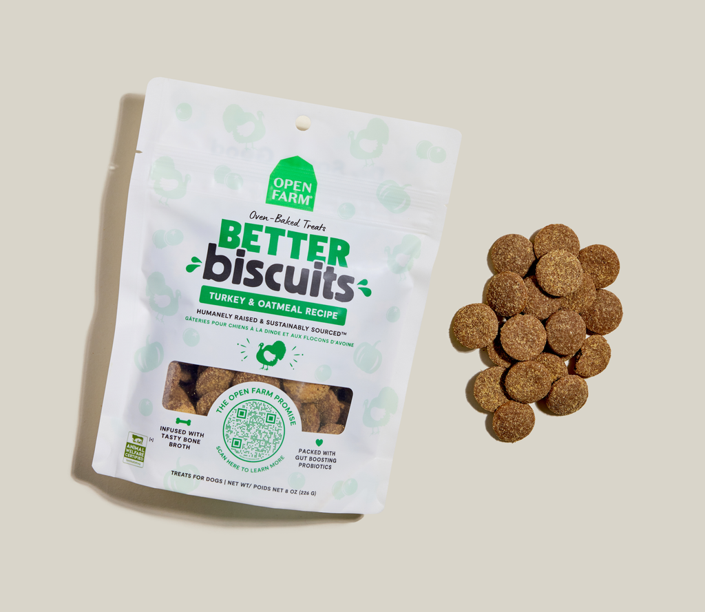 Turkey & Oatmeal Oven-Baked Dog Biscuits – Probiotic Crunchy Rewards