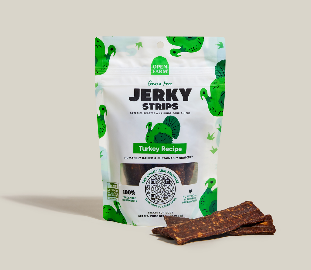 Grain-Free Turkey Jerky Dog Strips - Humanely Raised, Soft Chewy Reward